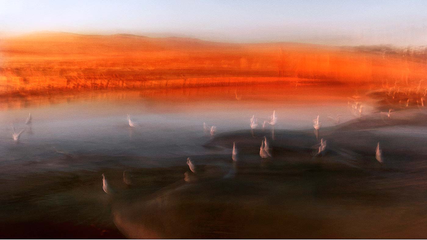 Curl Curl Lagoon sunrise hot orange with seagulls